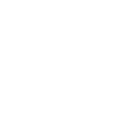Mission Icon