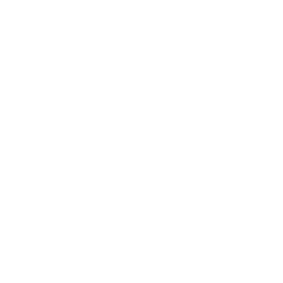 Mission Icon